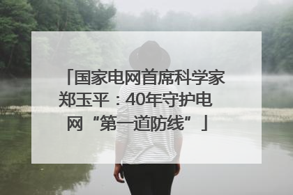 国家电网首席科学家郑玉平：40年守护电网“第一道防线”