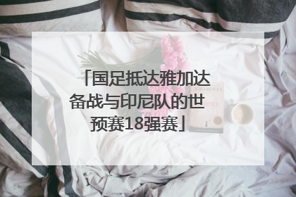 国足抵达雅加达备战与印尼队的世预赛18强赛
