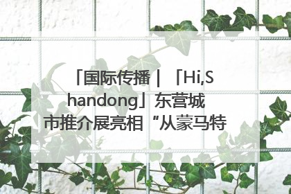 国际传播｜「Hi,Shandong」东营城市推介展亮相“从蒙马特到加里波第”文化节