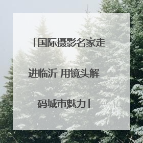 国际摄影名家走进临沂 用镜头解码城市魅力
