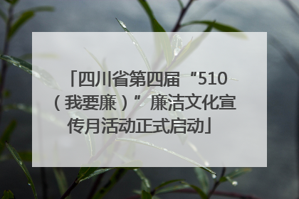 四川省第四届“510（我要廉）”廉洁文化宣传月活动正式启动