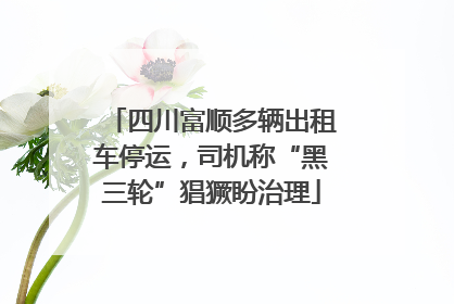 四川富顺多辆出租车停运，司机称“黑三轮”猖獗盼治理