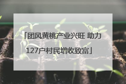团风黄桃产业兴旺 助力127户村民增收致富