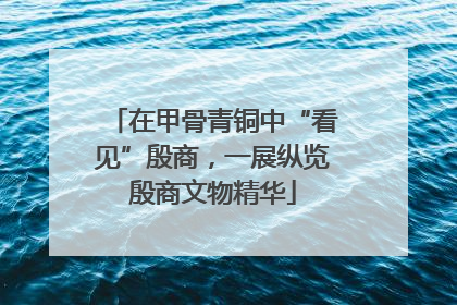 在甲骨青铜中“看见”殷商，一展纵览殷商文物精华