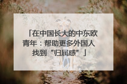 在中国长大的中东欧青年：帮助更多外国人找到“归属感”
