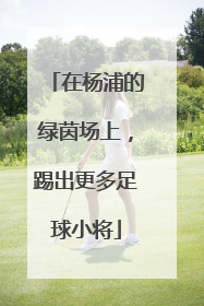 在杨浦的绿茵场上，踢出更多足球小将