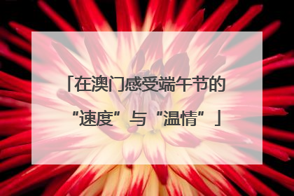 在澳门感受端午节的“速度”与“温情”