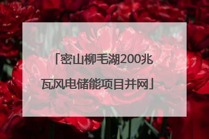 密山柳毛湖200兆瓦风电储能项目并网