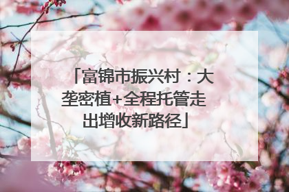 富锦市振兴村：大垄密植+全程托管走出增收新路径