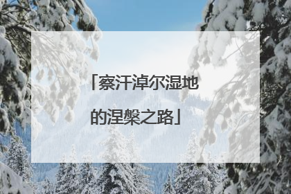 察汗淖尔湿地的涅槃之路