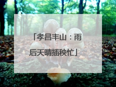 孝昌丰山：雨后天晴插秧忙