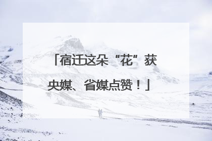 宿迁这朵“花”获央媒、省媒点赞！