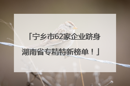 宁乡市62家企业跻身湖南省专精特新榜单！
