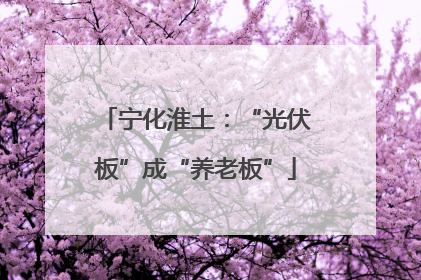 宁化淮土：“光伏板”成“养老板”