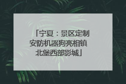 宁夏：景区定制安防机器狗亮相镇北堡西部影城