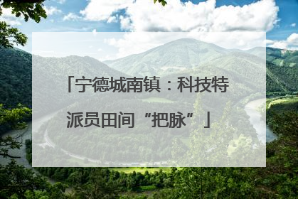 宁德城南镇：科技特派员田间“把脉”