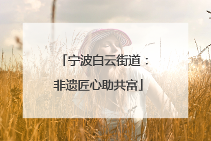 宁波白云街道：非遗匠心助共富