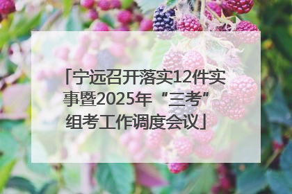 宁远召开落实12件实事暨2025年“三考”组考工作调度会议