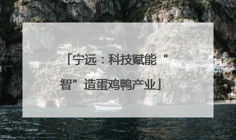 宁远：科技赋能“智”造蛋鸡鸭产业