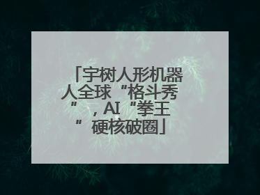 宇树人形机器人全球“格斗秀”，AI“拳王”硬核破圈