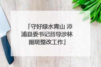 守好绿水青山 漳浦县委书记督导涉林图斑整改工作
