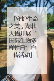 守护生命之美，湖北大悟开展“国际生物多样性日”宣传活动