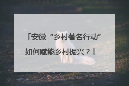 安徽“乡村著名行动”如何赋能乡村振兴？