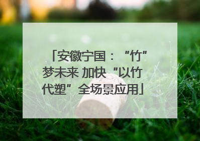 安徽宁国：“竹”梦未来 加快“以竹代塑”全场景应用
