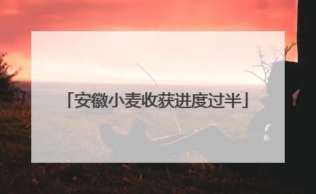 安徽小麦收获进度过半