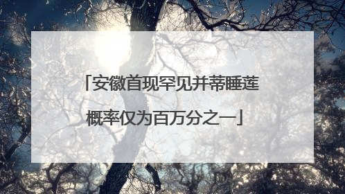 安徽首现罕见并蒂睡莲 概率仅为百万分之一