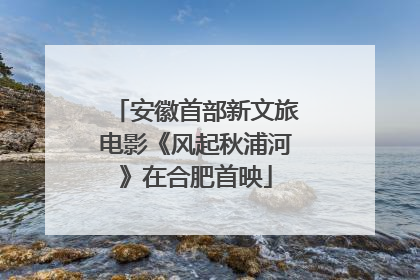 安徽首部新文旅电影《风起秋浦河》在合肥首映