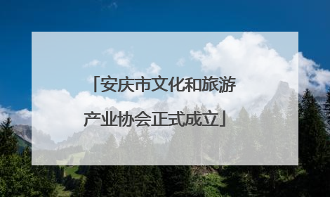 安庆市文化和旅游产业协会正式成立