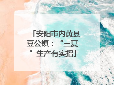 安阳市内黄县豆公镇：“三夏”生产有实招