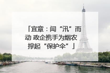 宜章：闻“汛”而动 政企携手为烟农撑起“保护伞”