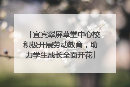 宜宾翠屏草堂中心校积极开展劳动教育，助力学生成长全面开花