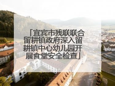 宜宾市残联联合留耕镇政府深入留耕镇中心幼儿园开展食堂安全检查