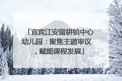 宜宾江安留耕镇中心幼儿园：聚焦主题审议，赋能课程发展