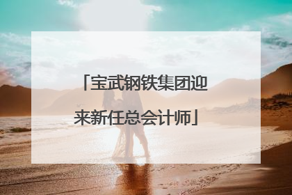 宝武钢铁集团迎来新任总会计师