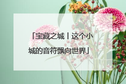 宝藏之城丨这个小城的音符飘向世界
