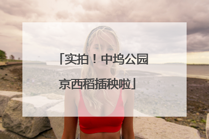 实拍！中坞公园京西稻插秧啦