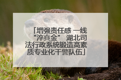 增强责任感 一线“淬真金” 湖北司法行政系统锻造高素质专业化干警队伍