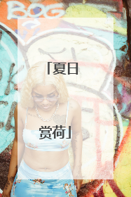 夏日赏荷