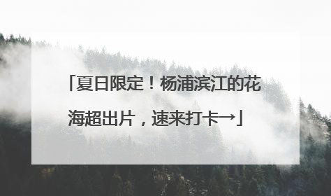 夏日限定！杨浦滨江的花海超出片，速来打卡→