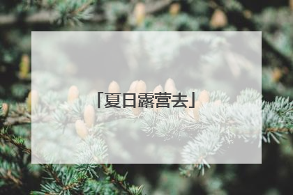 夏日露营去