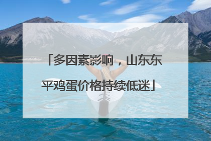 多因素影响，山东东平鸡蛋价格持续低迷