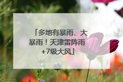 多地有暴雨、大暴雨！天津雷阵雨+7级大风