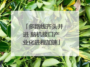 多路线齐头并进 脑机接口产业化进程加速