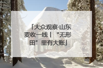 大众观察·山东麦收一线丨“无形田”里有大账