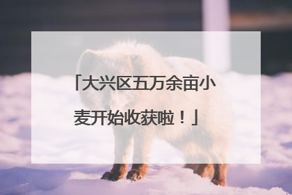 大兴区五万余亩小麦开始收获啦！
