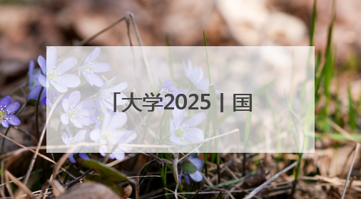 大学2025丨国科大副校长郑阳恒：AI时代仍需人类的直觉和洞察力
